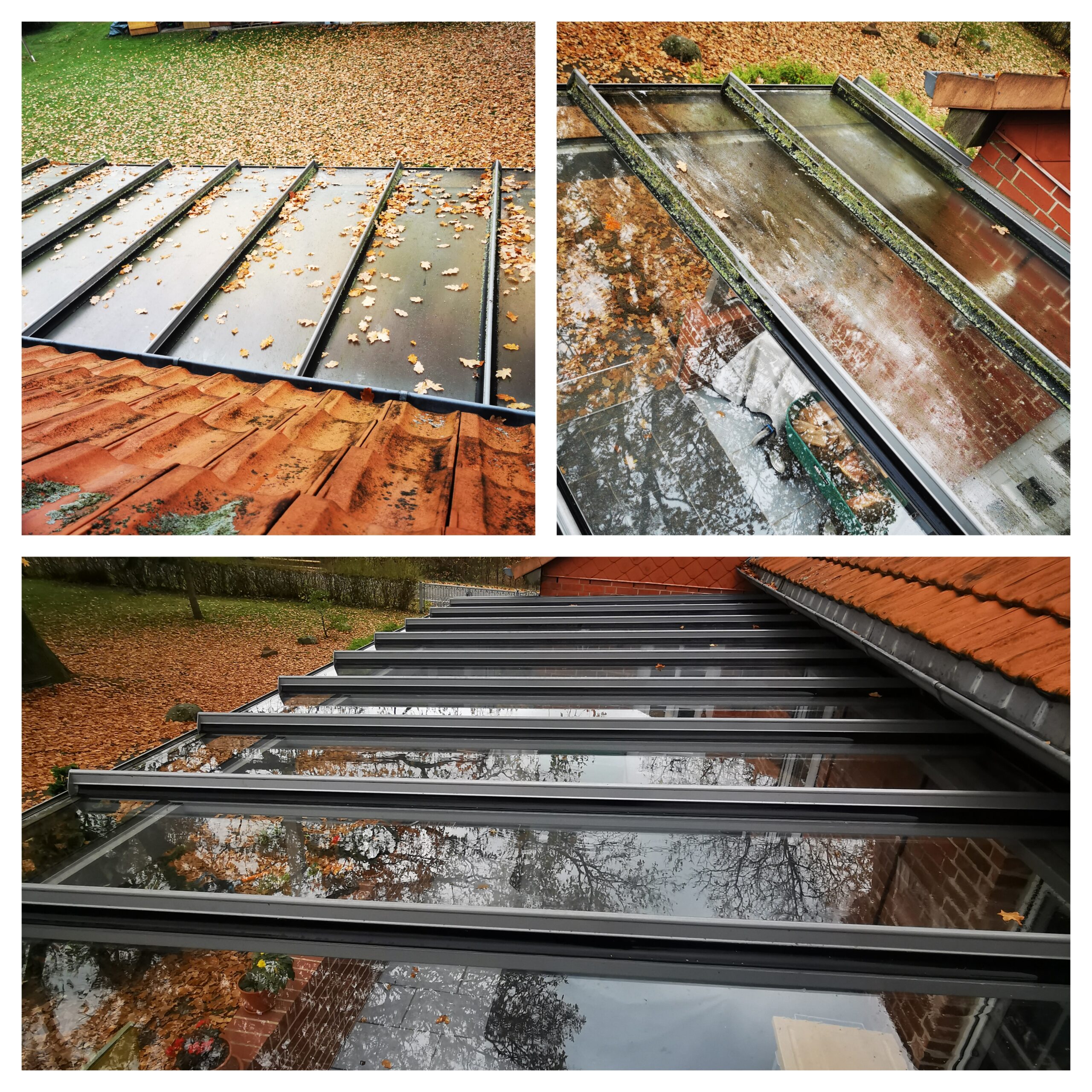 InCollage_20241115_213800158