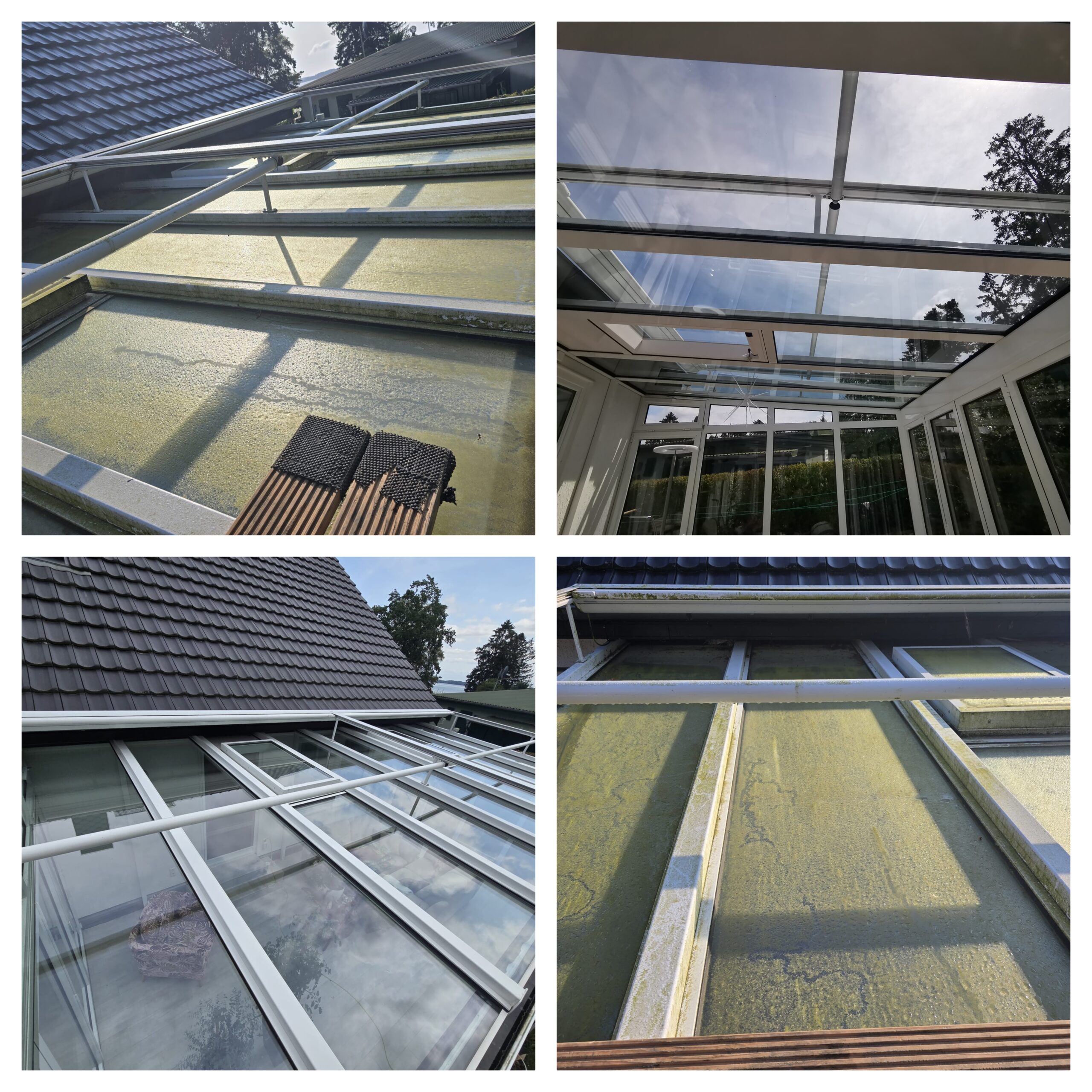 InCollage_20250505_213009133